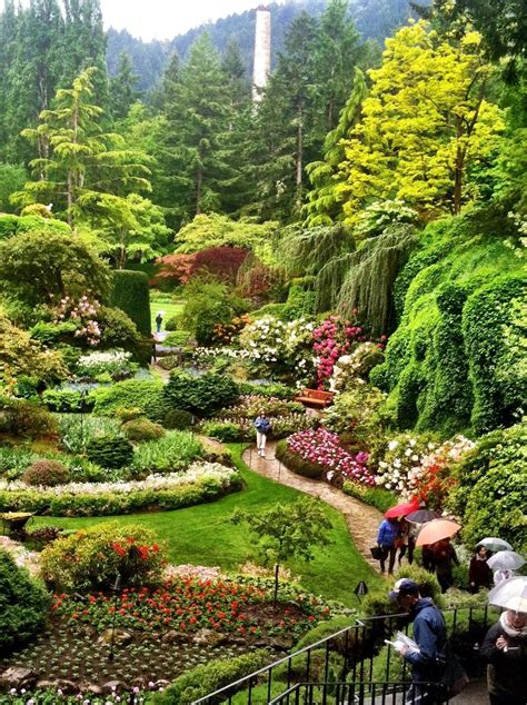Buchart gardens - The Butchart Gardens – Victoria, Canada – Italian Garden. Italian Garden. A tennis court turned colourful courtyard. Originally the Butchart family’s tennis court, today the Italian Garden features a bronze-cast statue of Mercury and a flower-studded pond. Enjoy our handmade sorbeto and authentic gelato. 